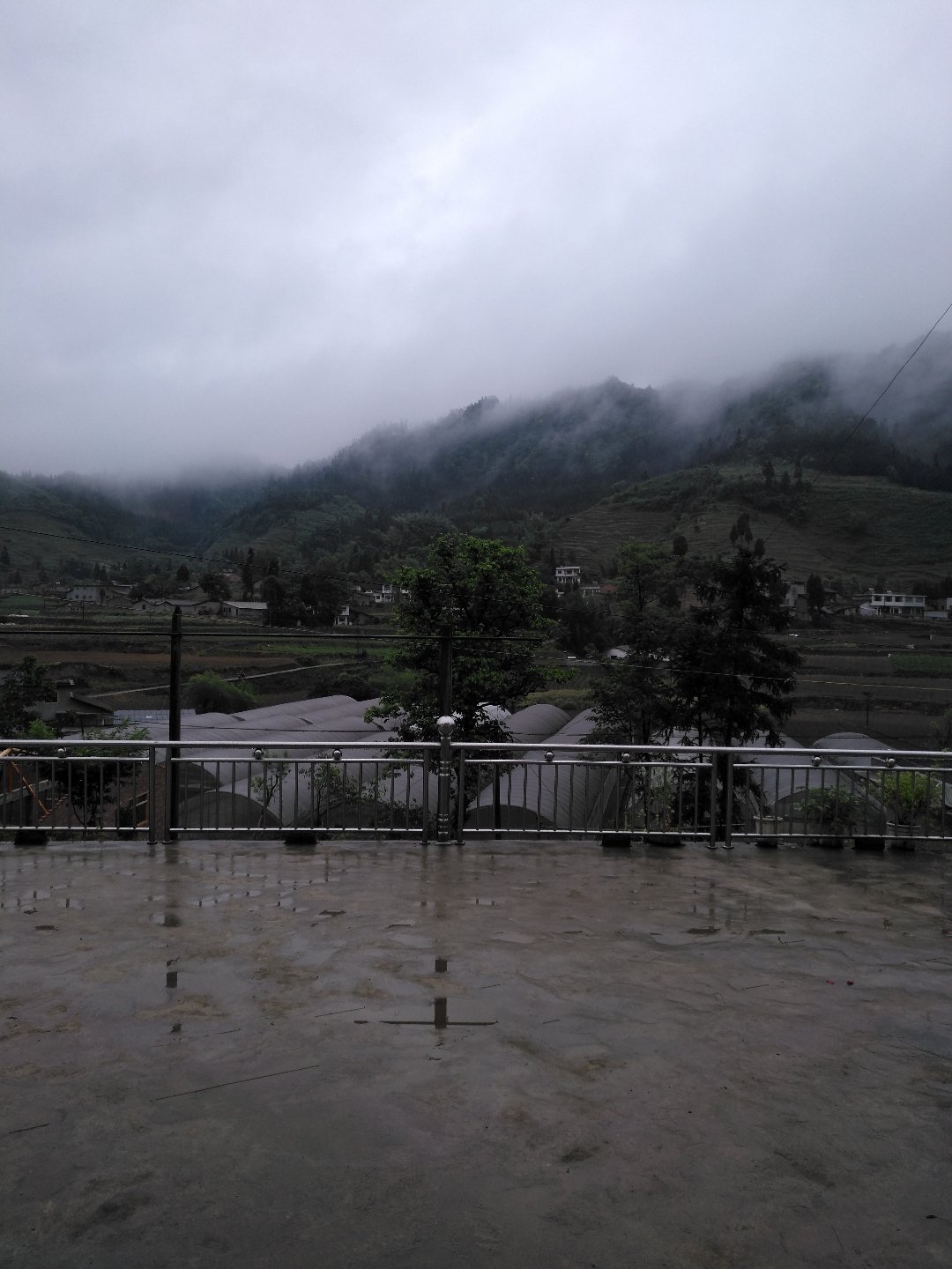 干布村最新天气预报，详细报告与影响分析
