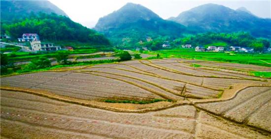 岳西县体育局新项目启动，引领地方体育事业迈向新高度