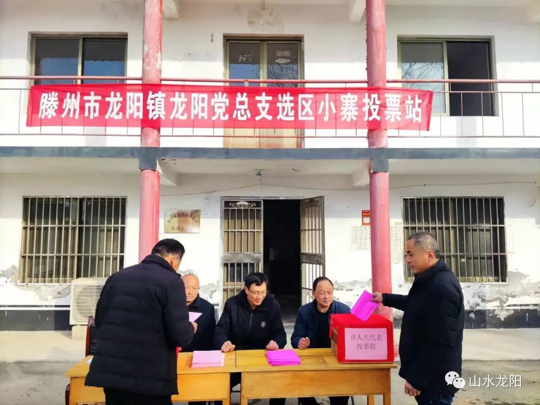 龙阳镇最新项目，引领地区发展的强大动力之源