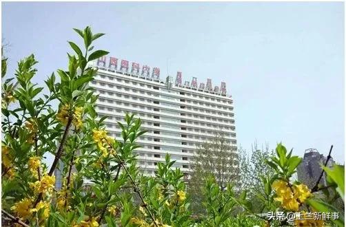 尖草坪区康复事业单位最新招聘概览