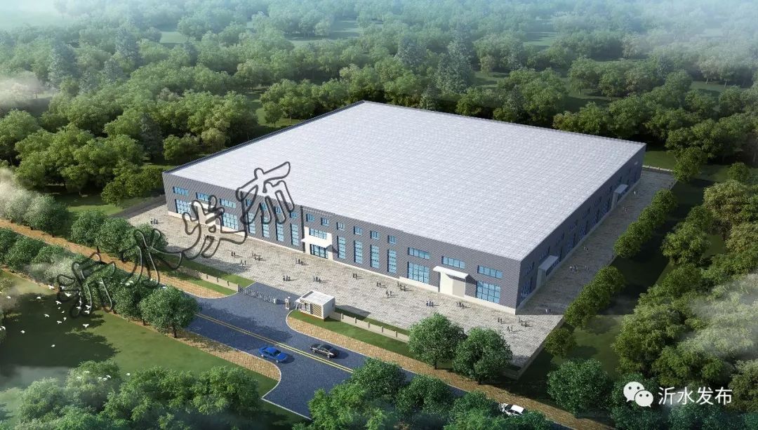 沂水县文化局最新项目深度解析与概览